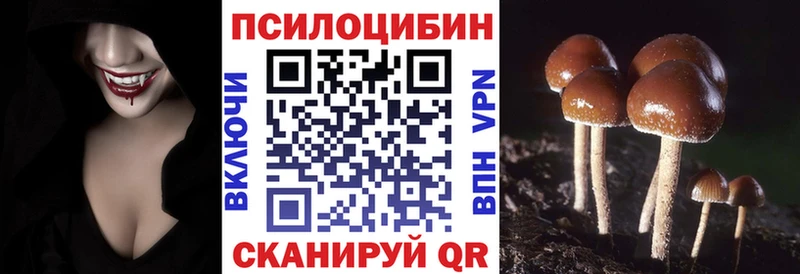 Псилоцибиновые грибы мицелий  где можно купить   Грайворон 